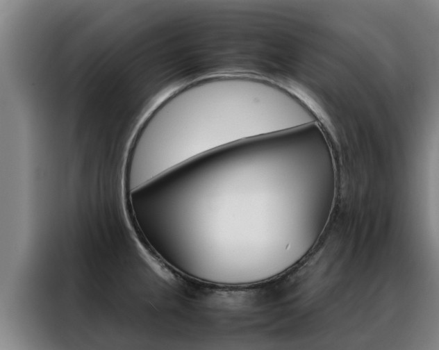 X0000088481237200705220954