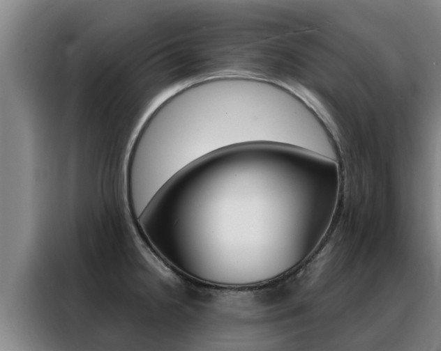 X0000088481238200705220954
