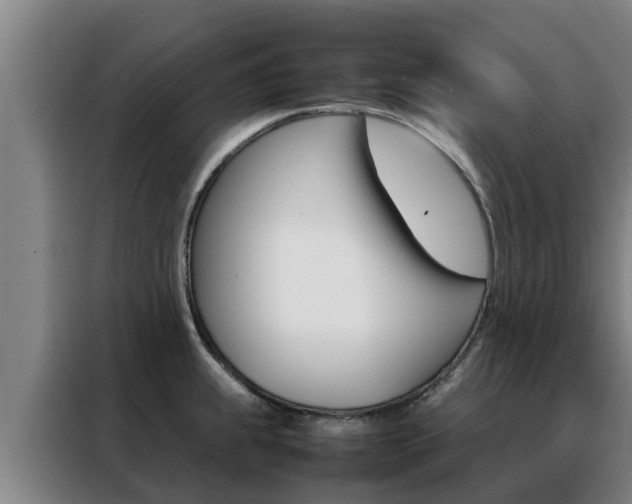 X0000088481239200705220954