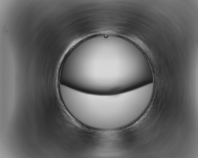 X0000088481240200705220954