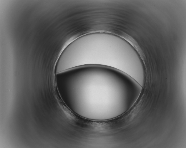 X0000088481242200705220954