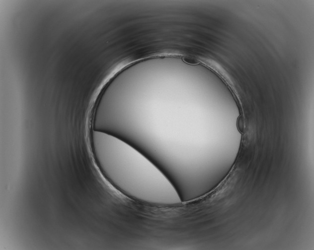 X0000088481243200705220954