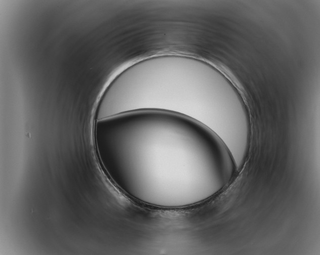 X0000088481246200705220954