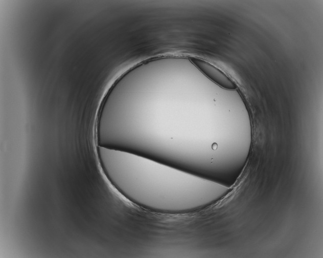 X0000088481247200705220954