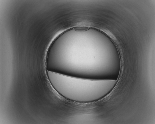 X0000088481248200705220954