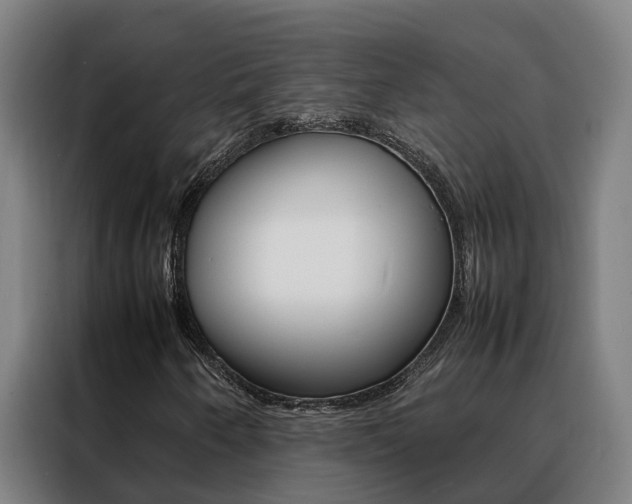 X0000088481250200705220954