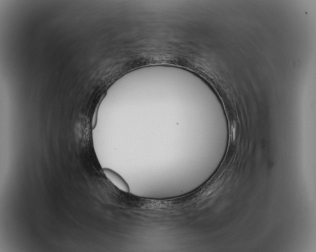 X0000088481251200705220954