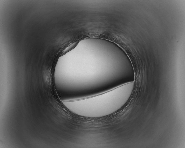 X0000088481252200705220954