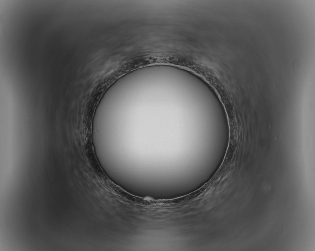 X0000088481253200705220954