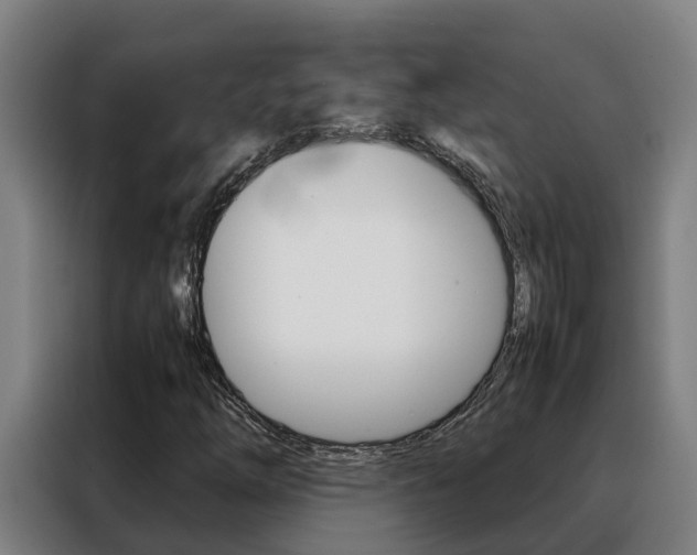 X0000088481254200705220954