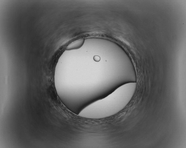 X0000088481255200705220953