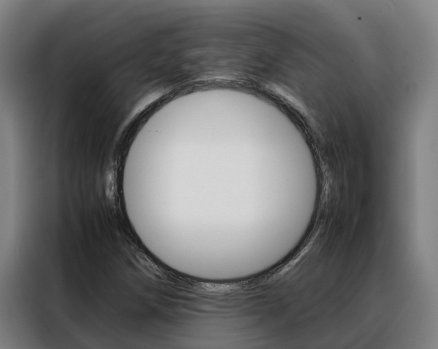 X0000088481258200705220953
