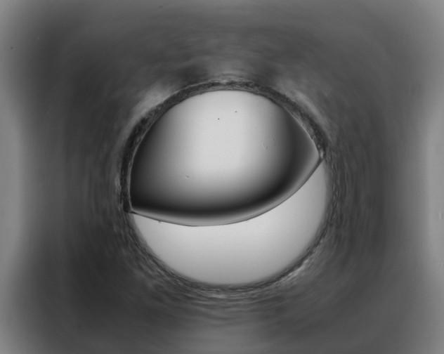 X0000088481261200705220953