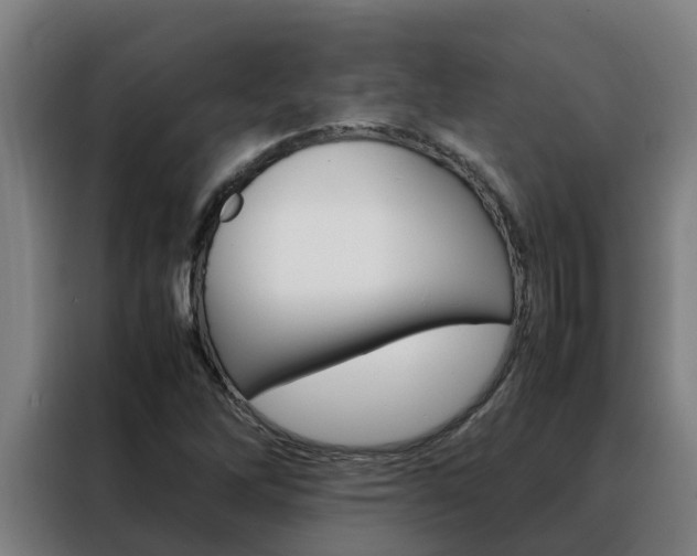 X0000088481262200705220953