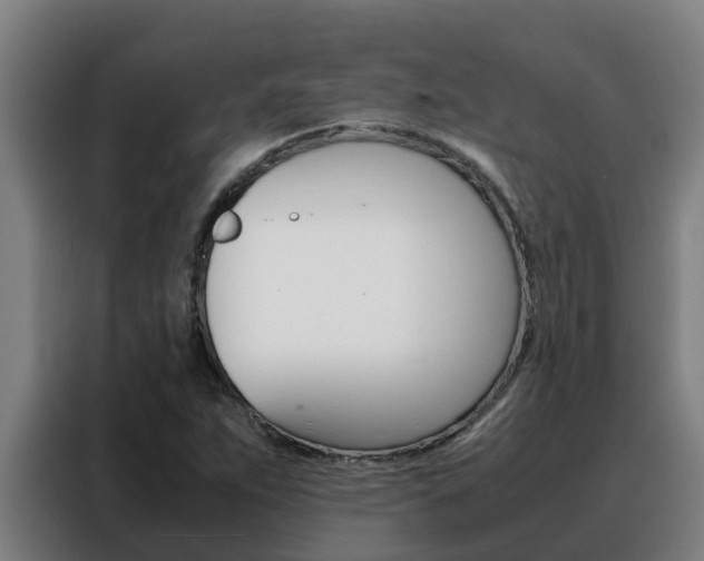 X0000088481263200705220953