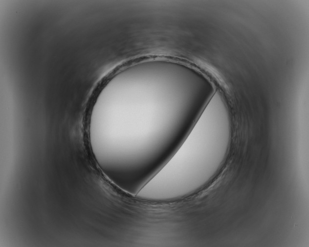 X0000088481264200705220953