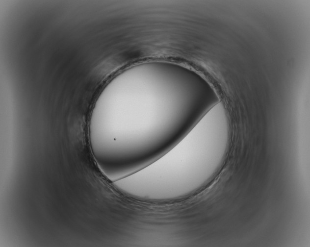 X0000088481265200705220953