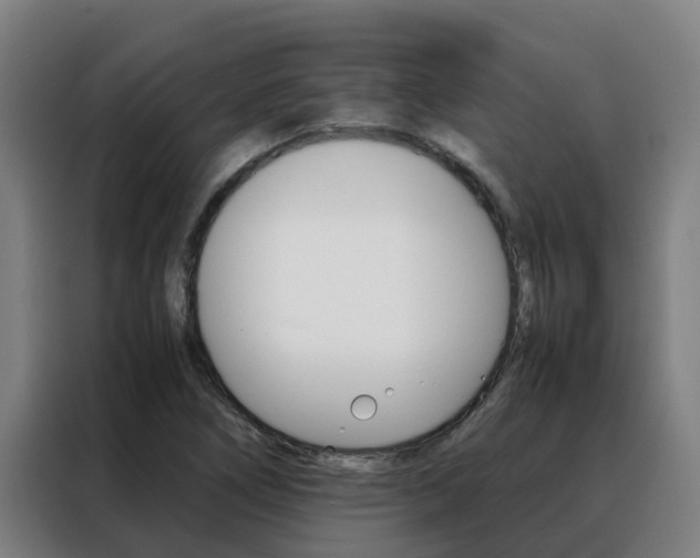 X0000088481266200705220953