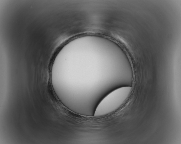 X0000088481267200705220953