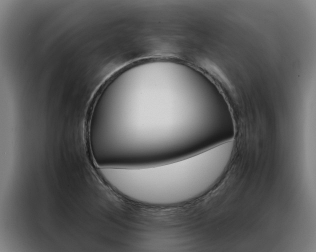 X0000088481268200705220953