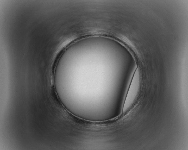X0000088481269200705220953