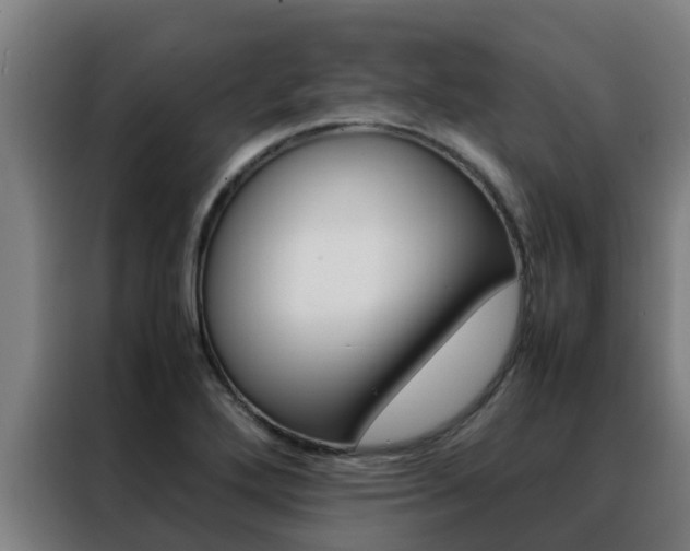 X0000088481272200705220953