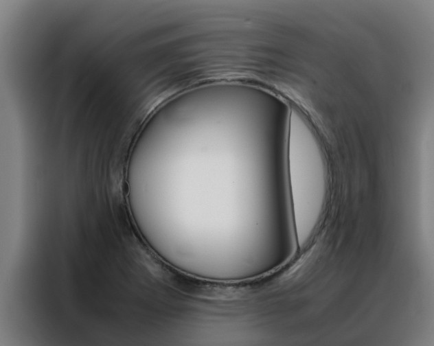 X0000088481273200705220953