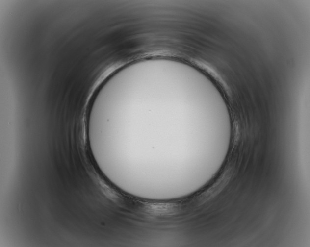 X0000088481274200705220953