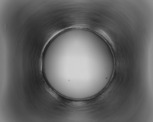 X0000088481276200705220953