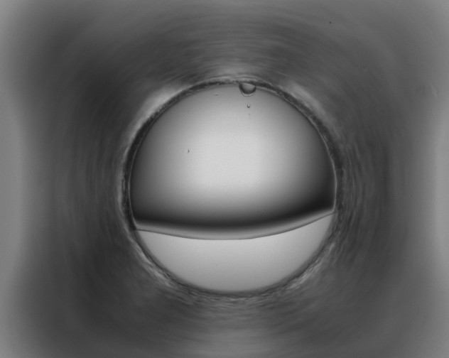 X0000088481277200705220953