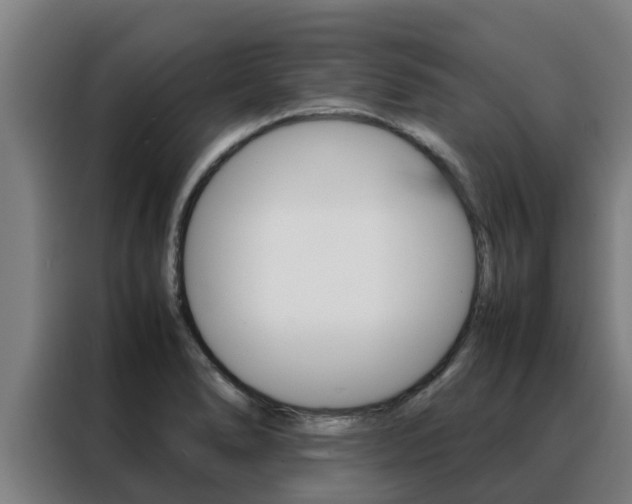 X0000088481278200705220953