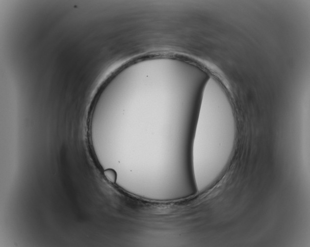 X0000088481279200705220953