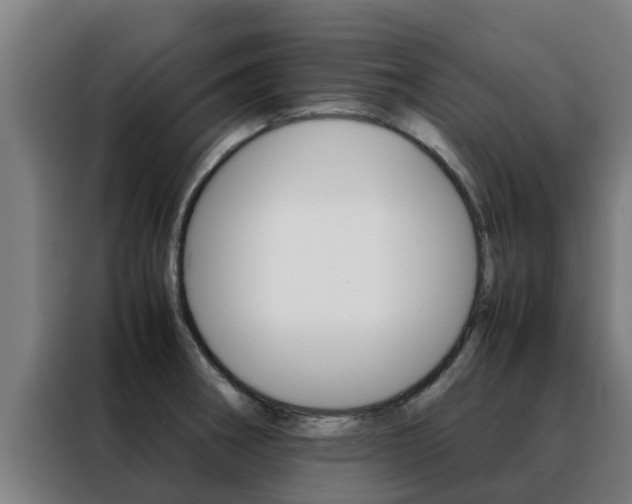 X0000088481282200705220953