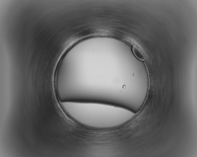 X0000088481283200705220953