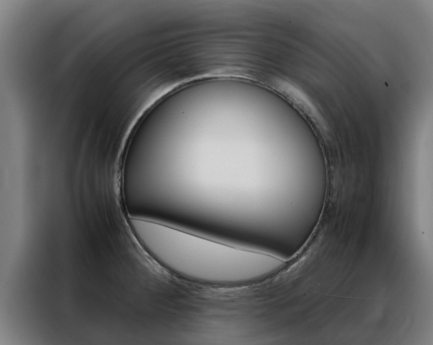 X0000088481284200705220953