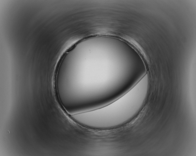 X0000088481285200705220953