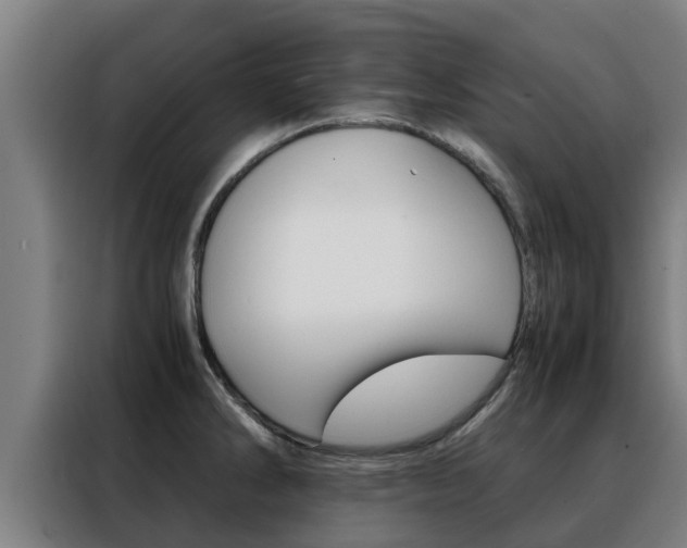 X0000088481286200705220953