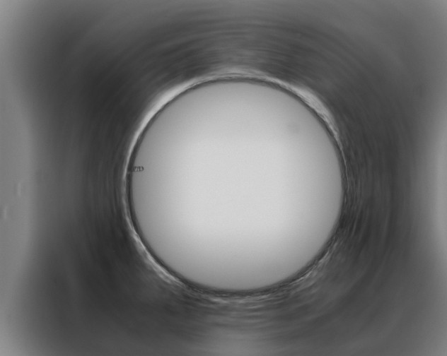 X0000088481287200705220953