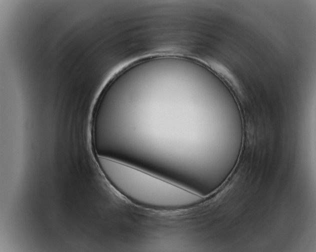 X0000088481288200705220953