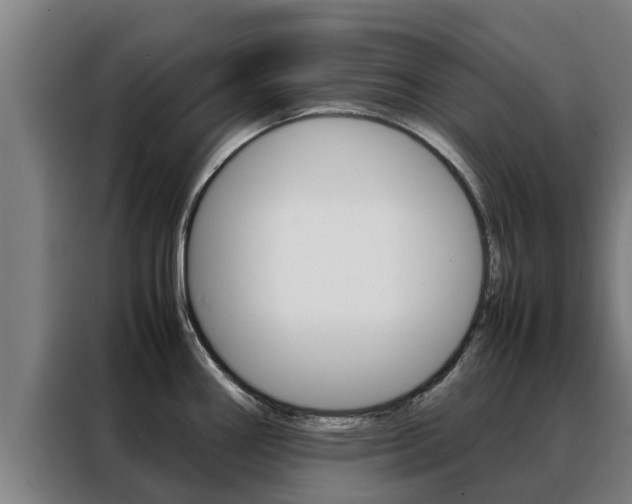 X0000088481290200705220953