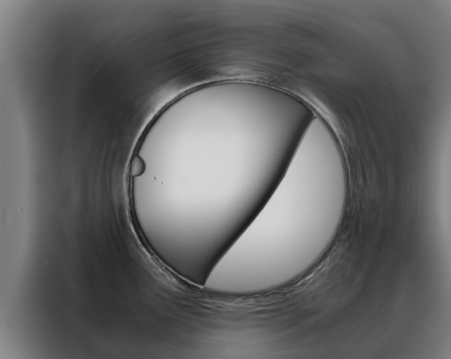X0000088481291200705220953