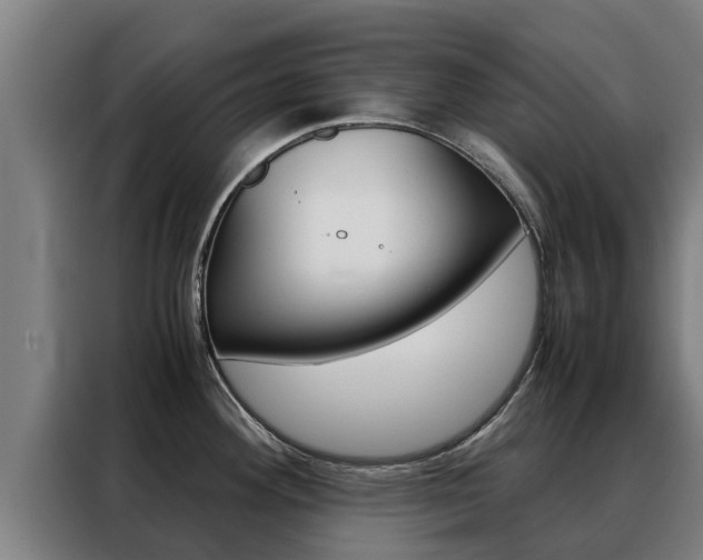 X0000088481292200705220953