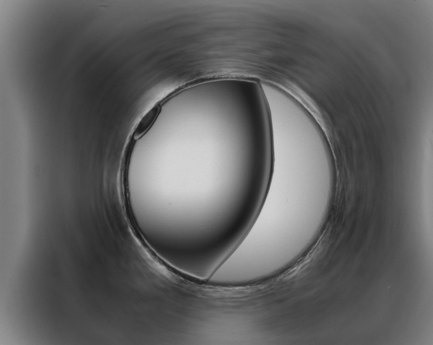 X0000088481293200705220953