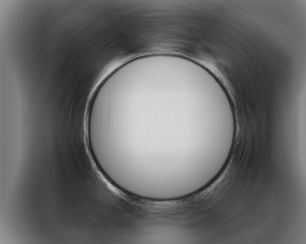 X0000088481294200705220953