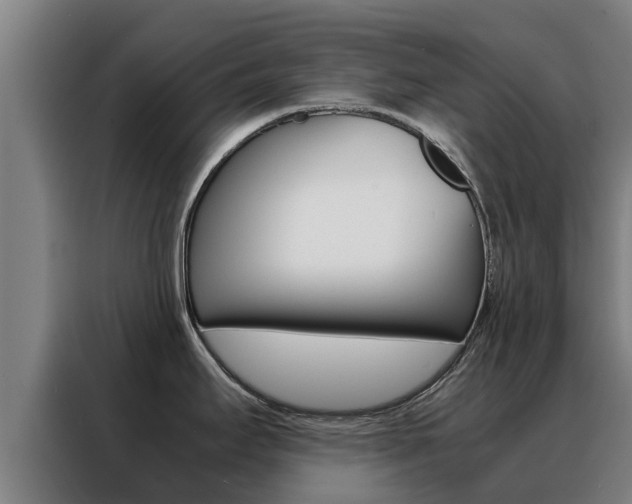 X0000088481295200705220953