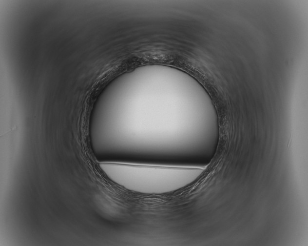 X0000088481297200705220952