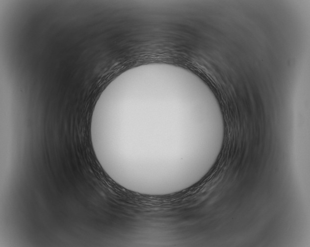 X0000088481298200705220952