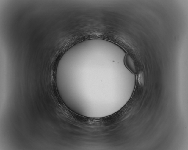 X0000088481299200705220952