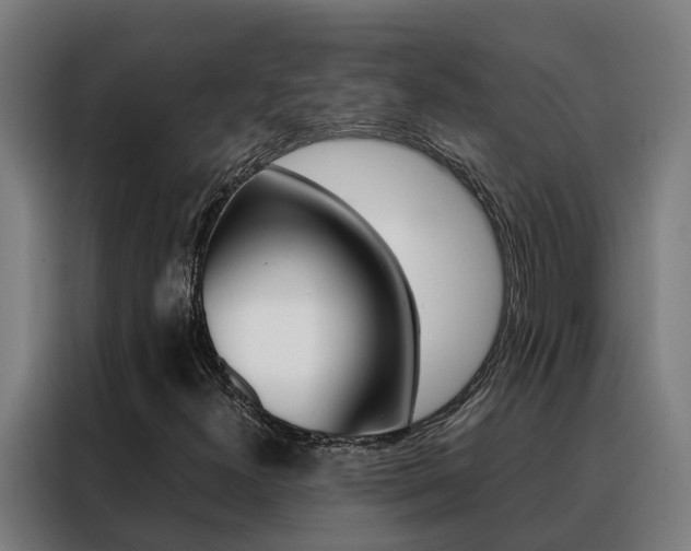 X0000088481300200705220952
