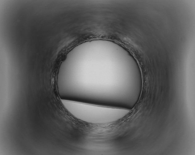 X0000088481302200705220952